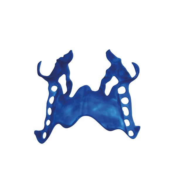 Resina 3D Form 1 litro CLEMDE Dental