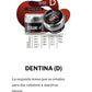 INTRO FULL KIT CERAMI-K METAL - PORCELANA CLEMDE Dental 